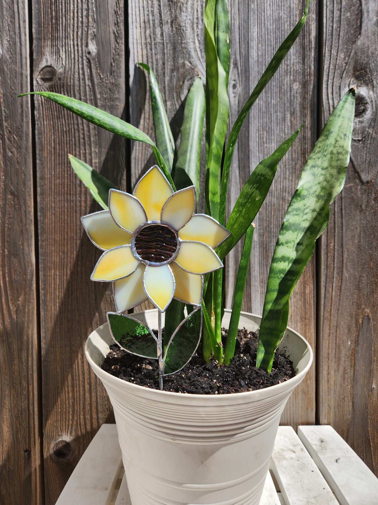 Yellow Sunflower Plant Stake with Texture Brown Center