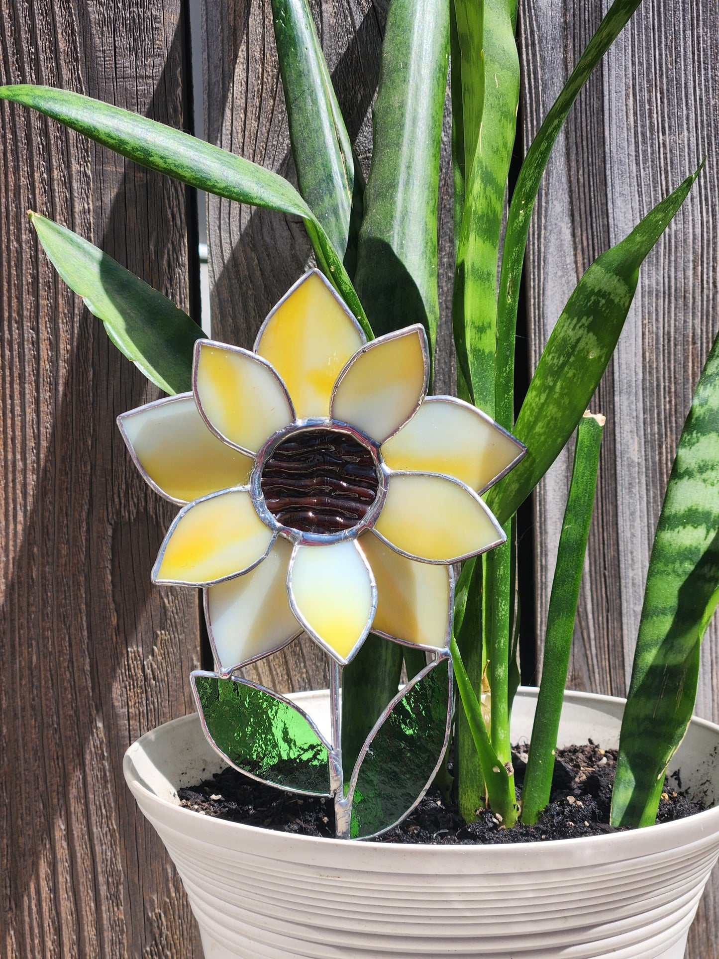 Yellow Sunflower Plant Stake with Texture Brown Center