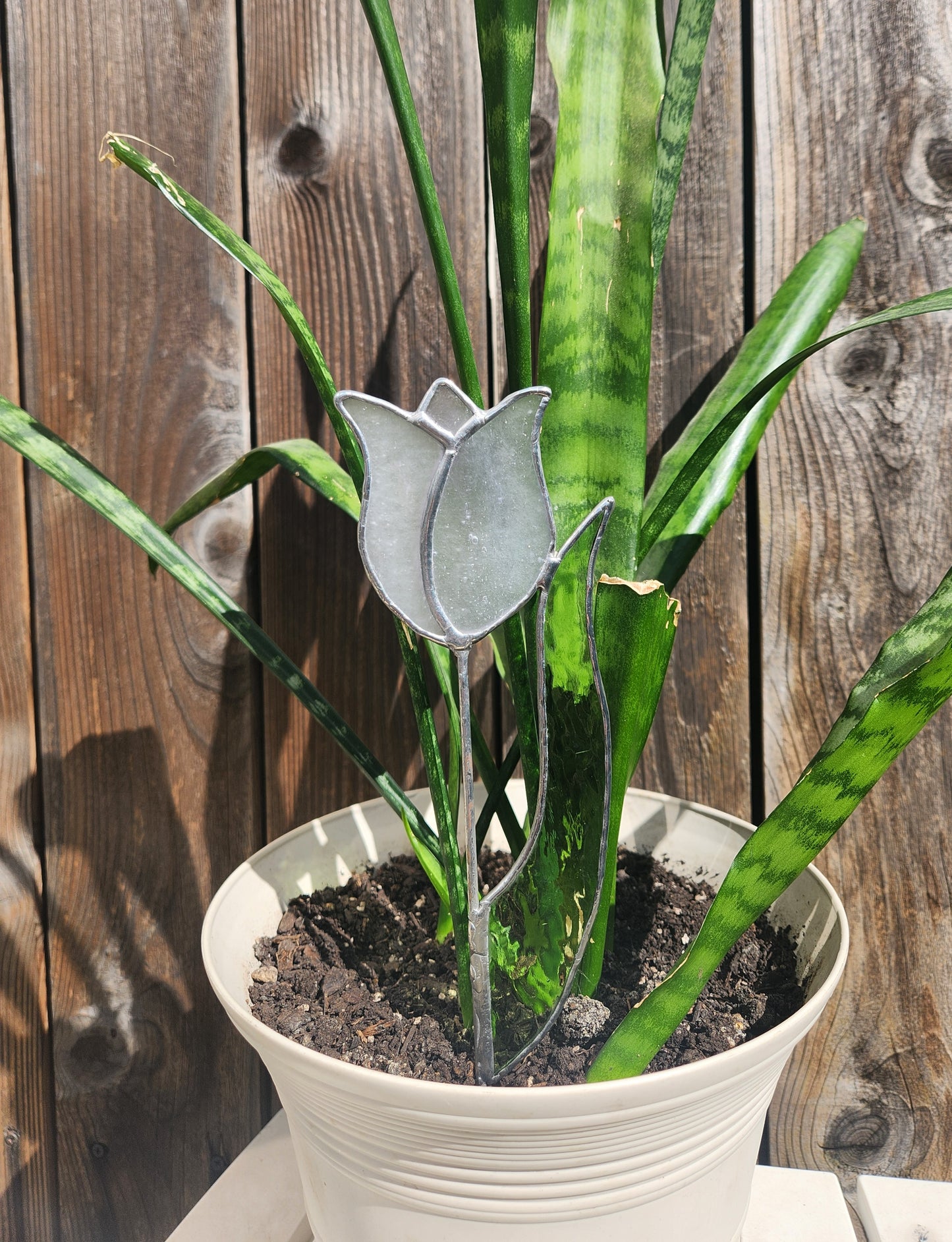 White Stippled Tulip with Green English Muffle Leaf Stained Glass Plant Stake