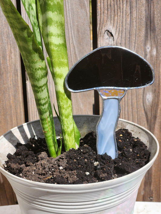 Black Waterglass, Iridescent and Gray Mushroom