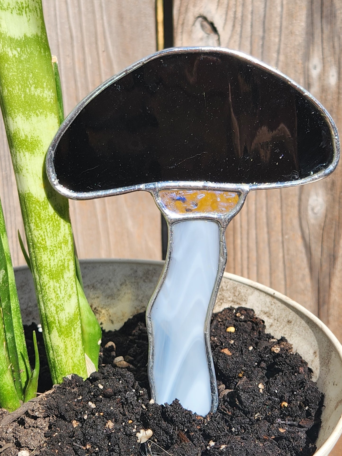 Black Waterglass, Iridescent and Gray Mushroom