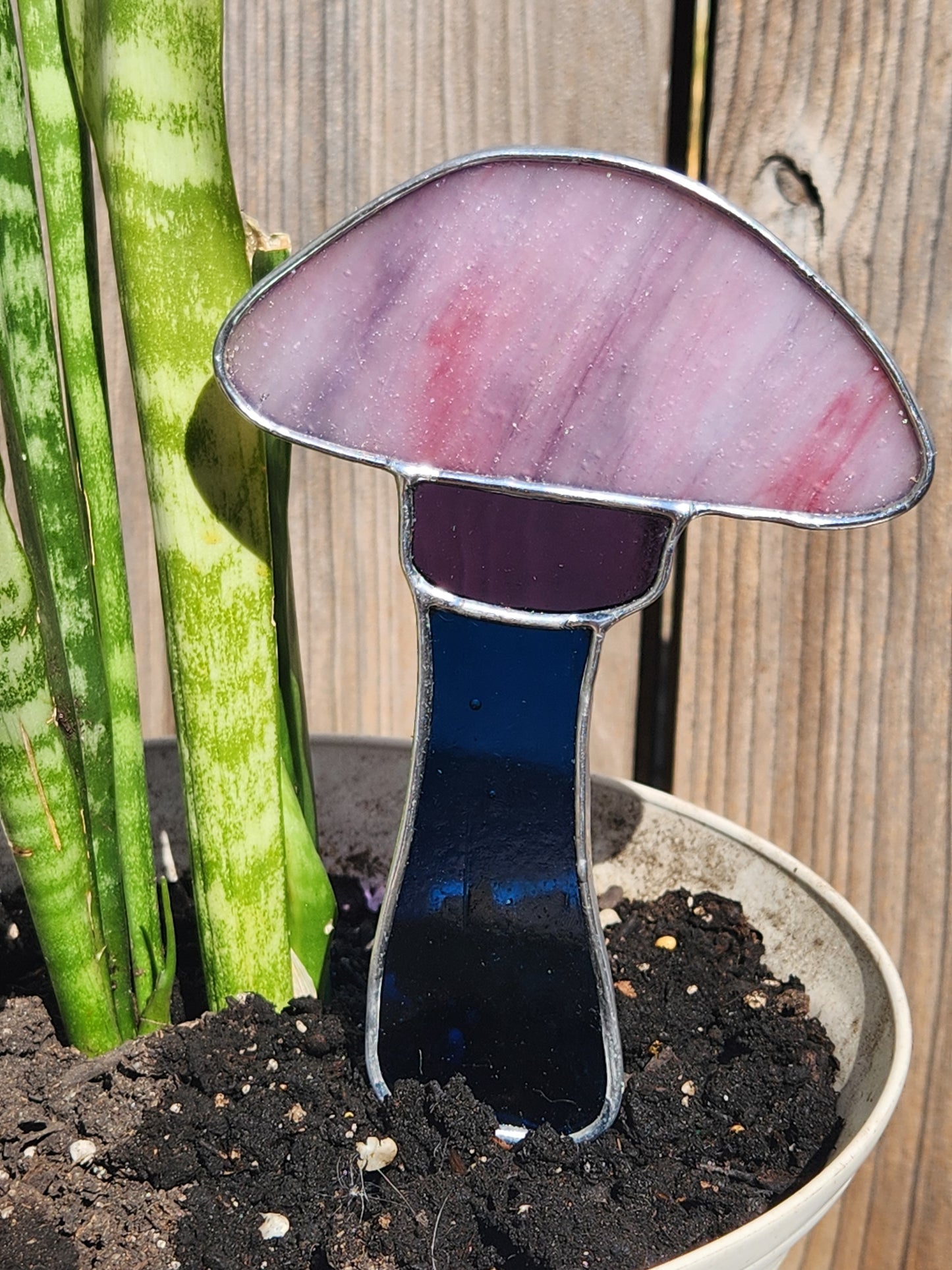 Purple Rolled Textured Mushroom with Blue Stem