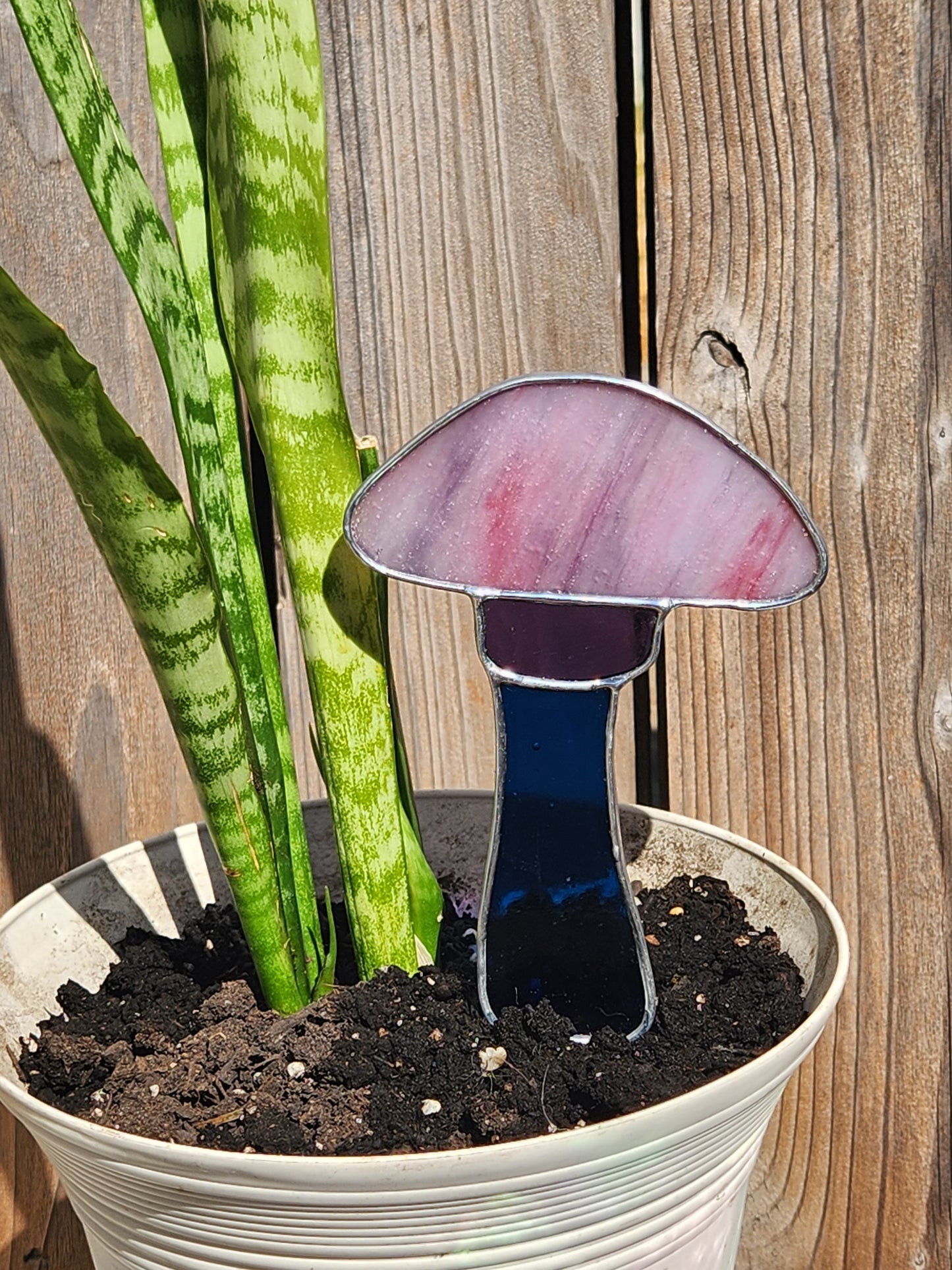 Purple Rolled Textured Mushroom with Blue Stem