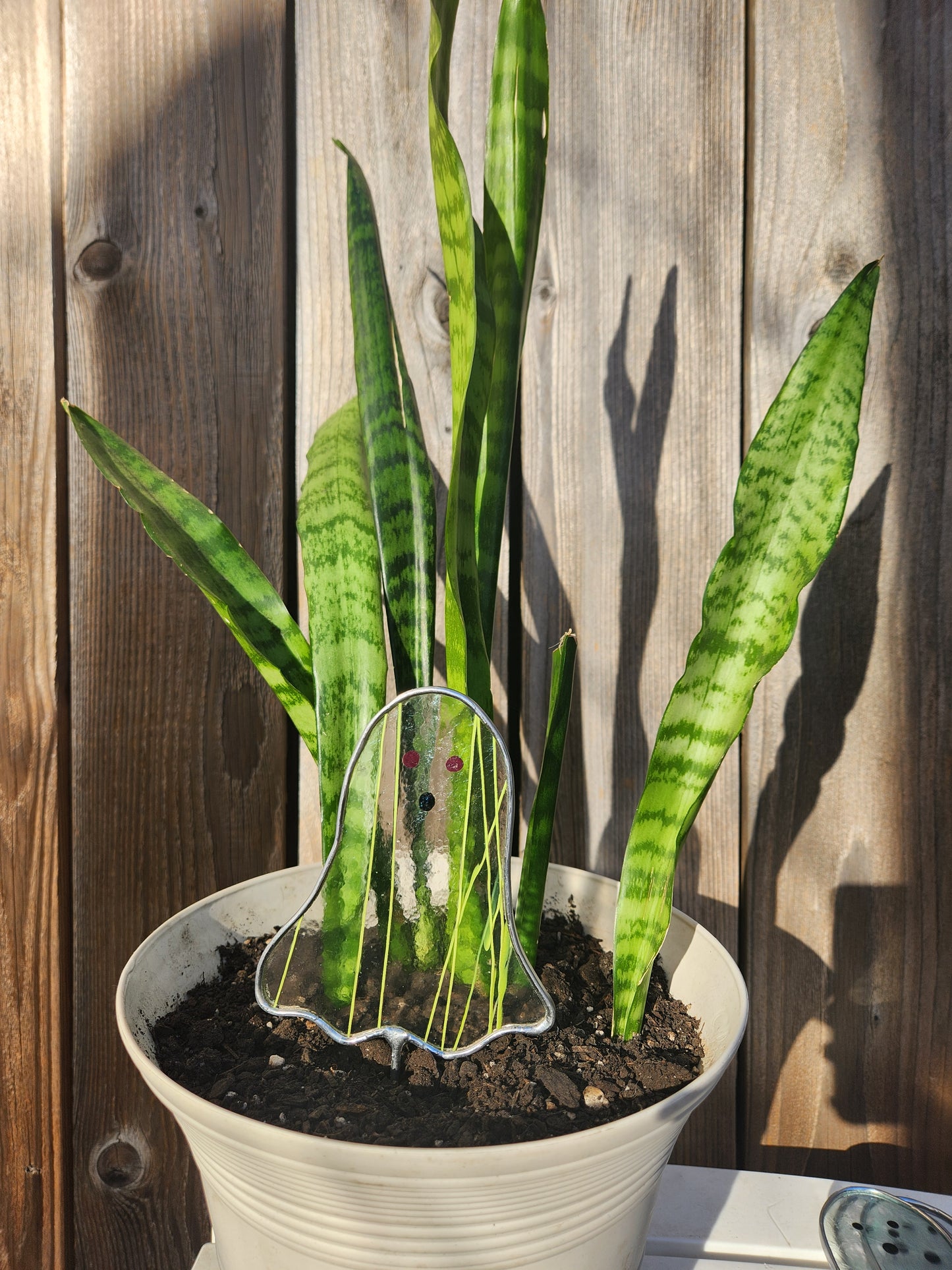 Ghost Stained Glass Plant Stake- Neon Striping Glass with Purple Eyes