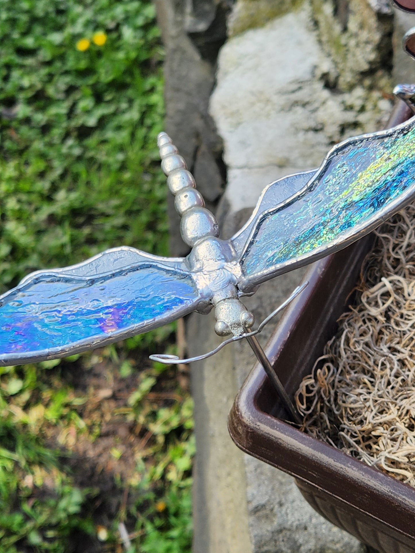 Iridescent & White Dragonfly Plant Stake