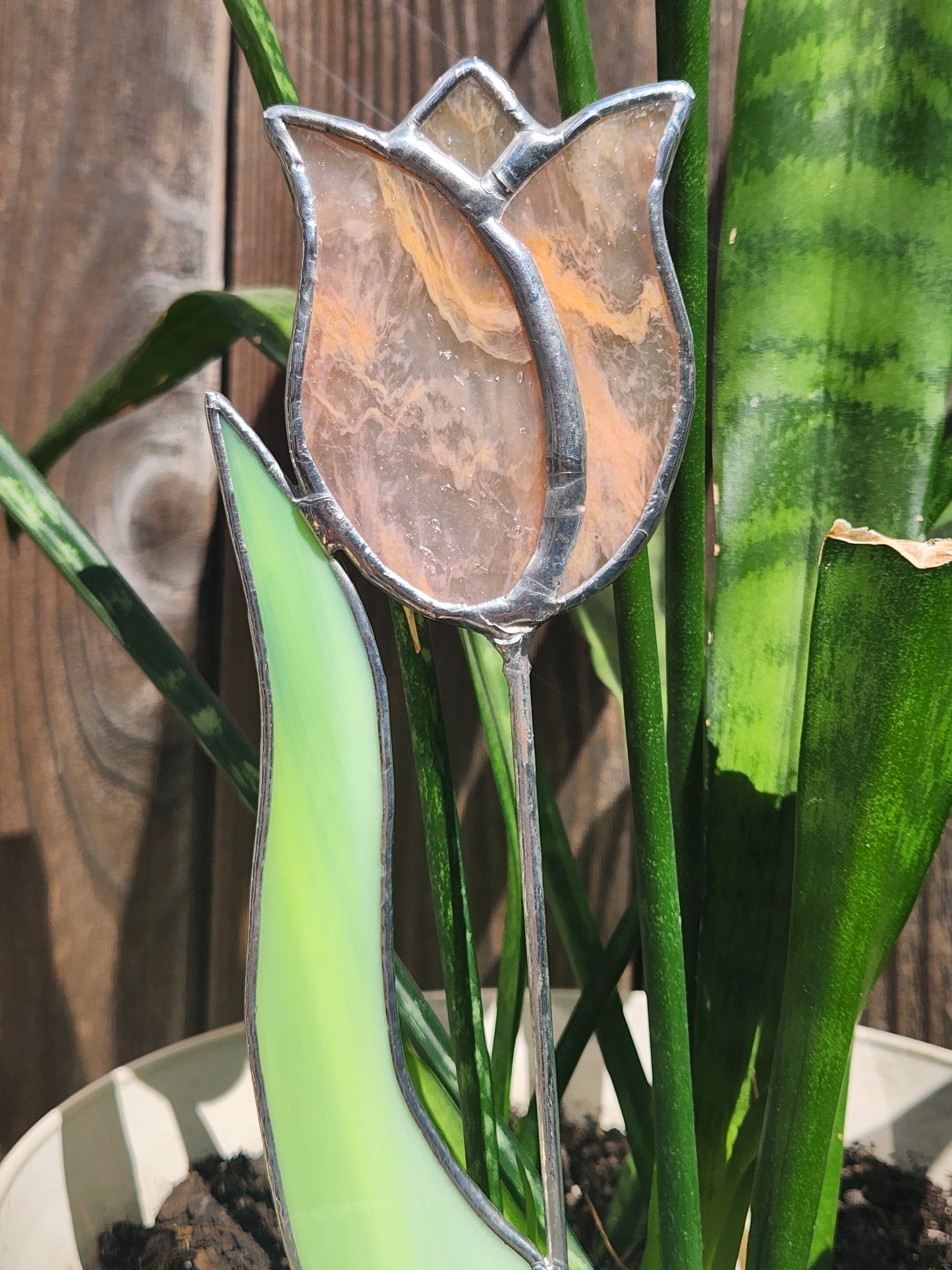 Peach-White Streaky Tulip with Green Streaky Leaf Stained Glass Plant Stake