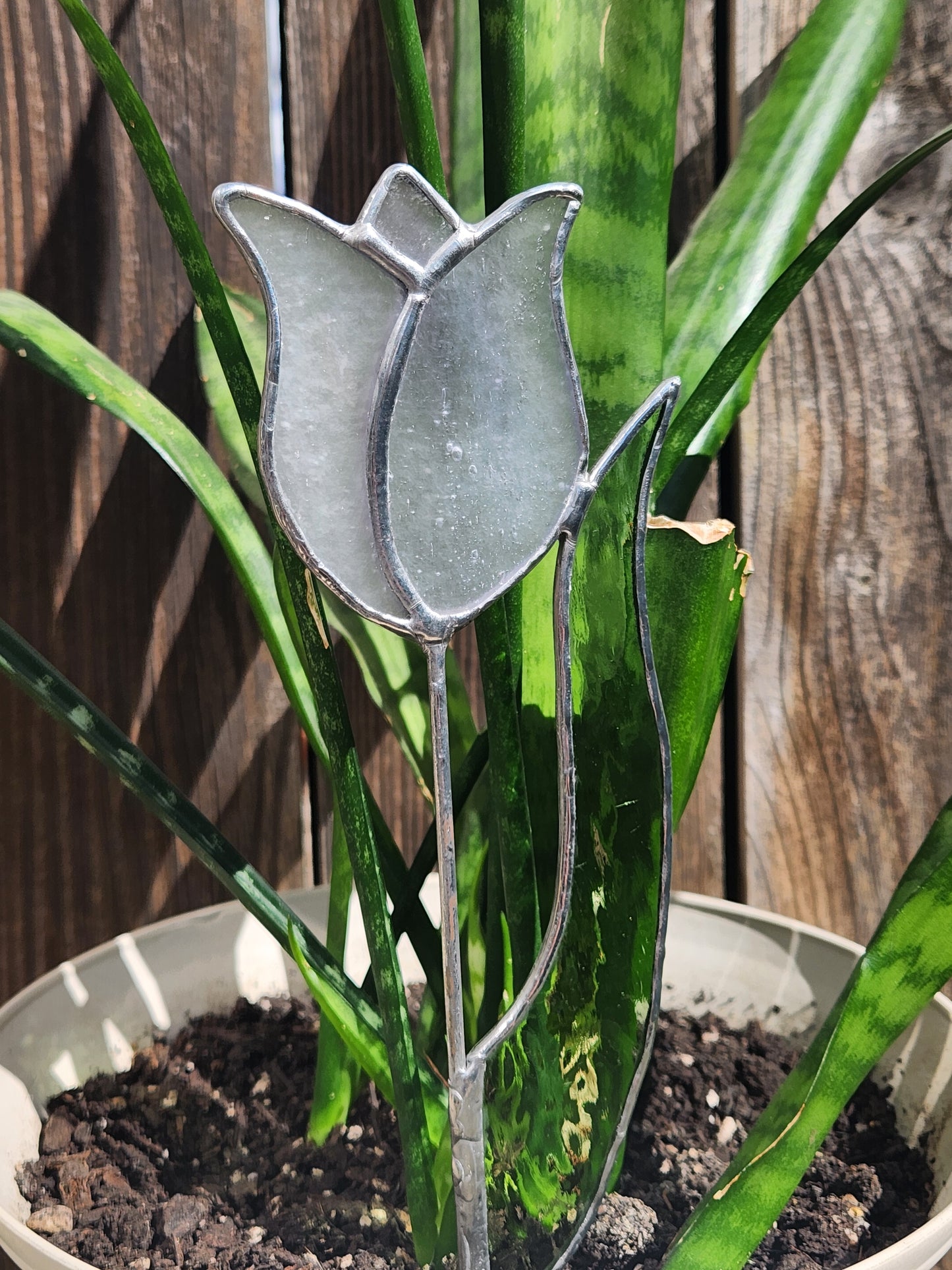 White Stippled Tulip with Green English Muffle Leaf Stained Glass Plant Stake
