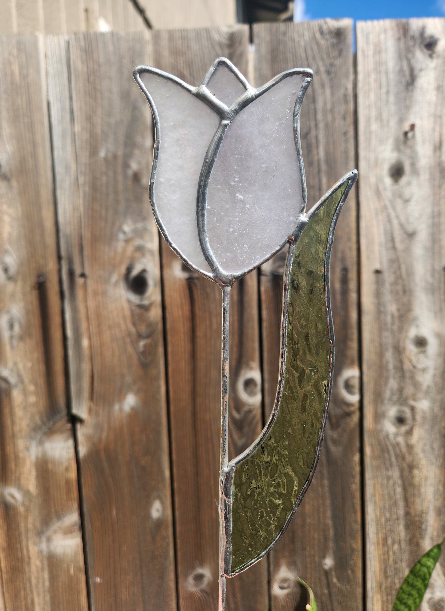 White Stippled Tulip with Green English Muffle Leaf Stained Glass Plant Stake