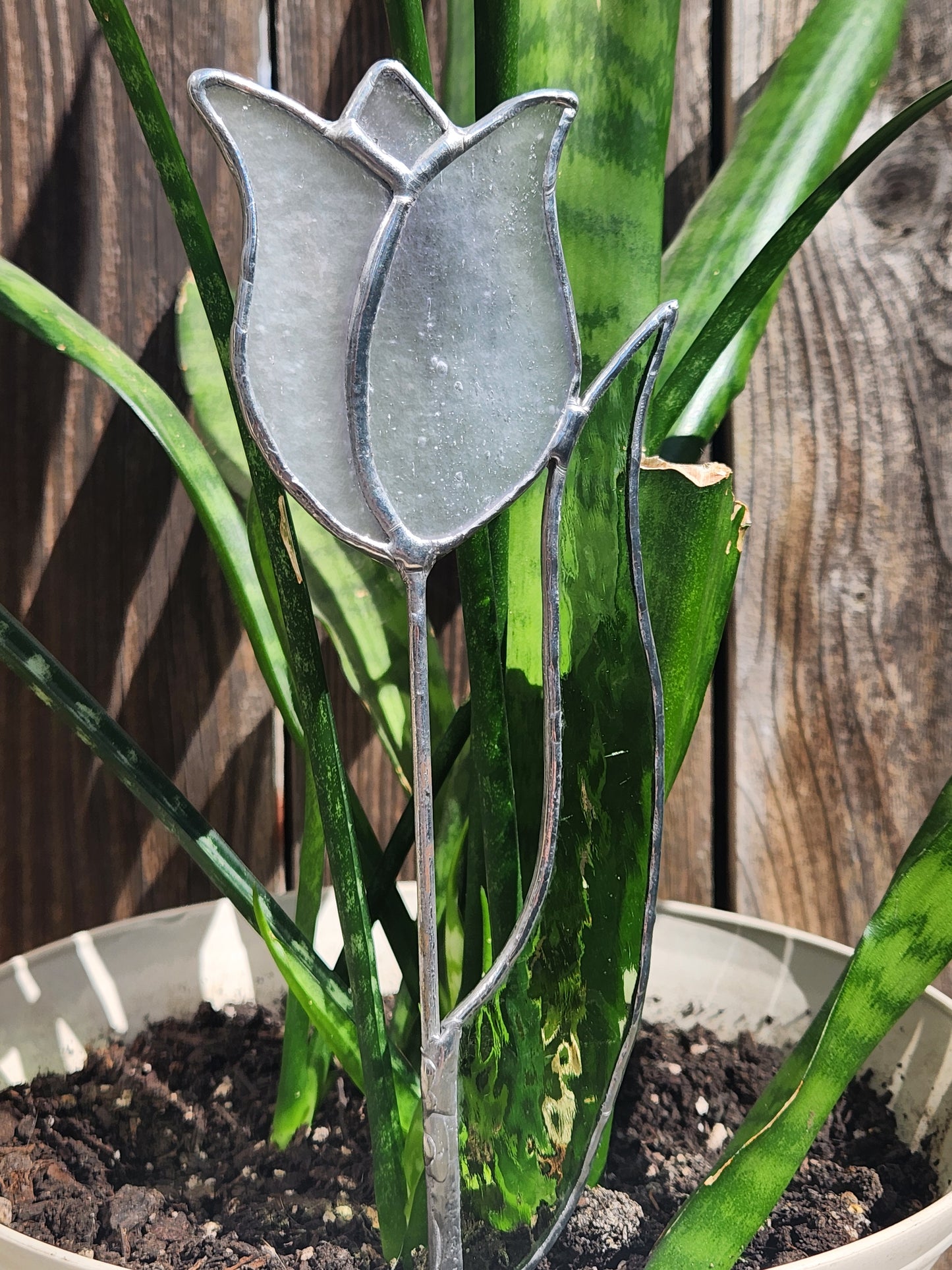 White Stippled Tulip with Green English Muffle Leaf Stained Glass Plant Stake