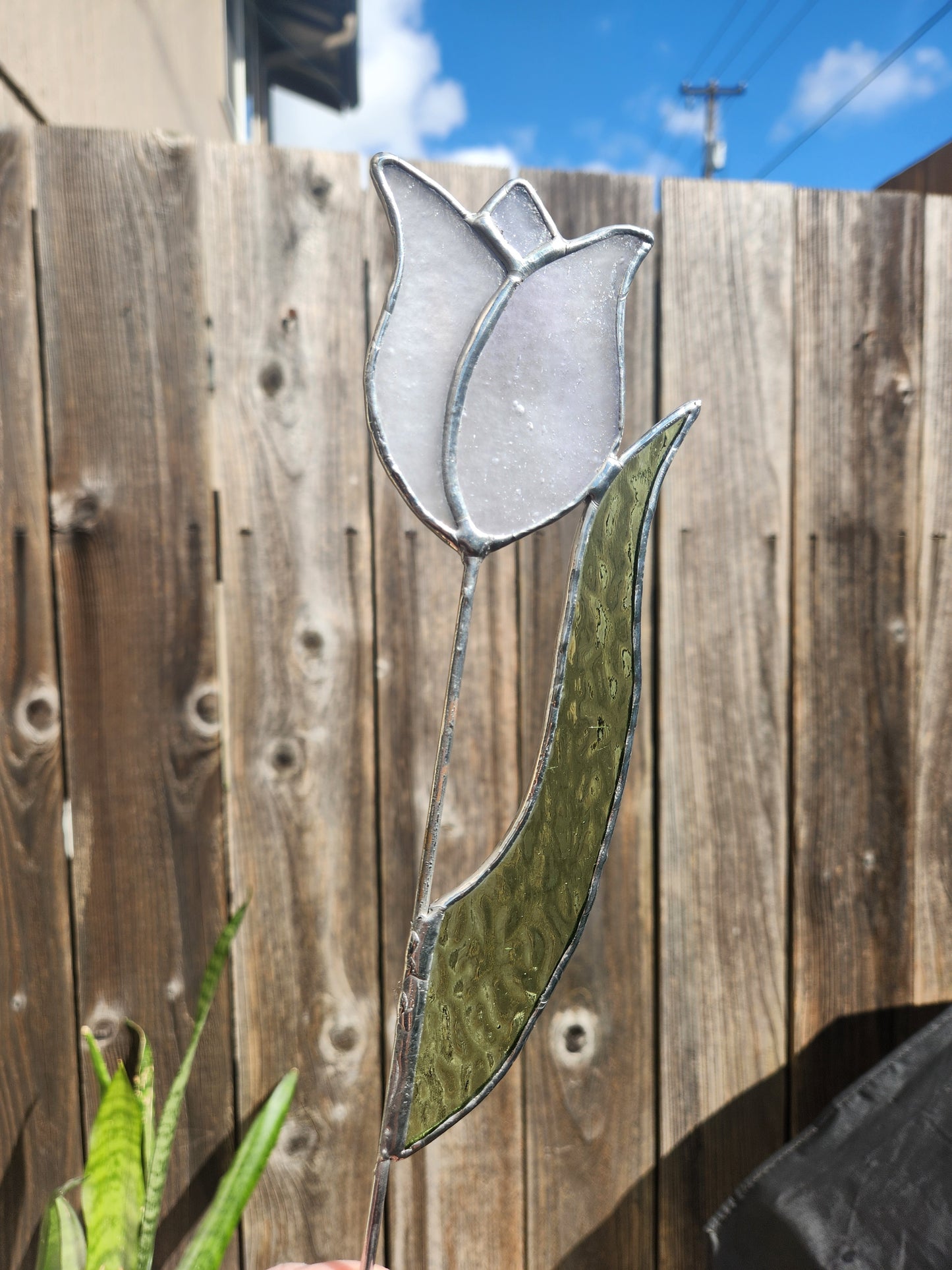 White Stippled Tulip with Green English Muffle Leaf Stained Glass Plant Stake
