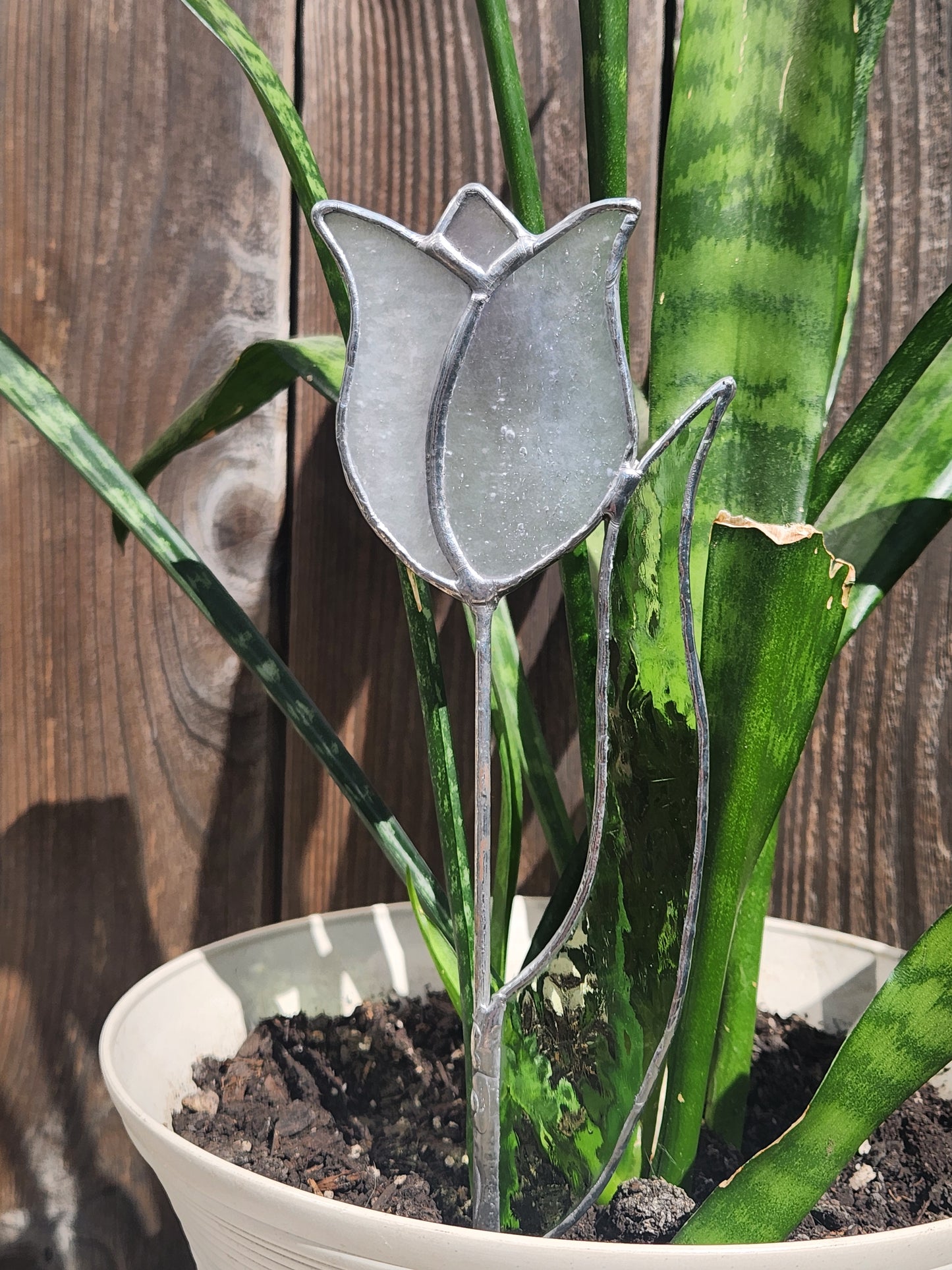White Stippled Tulip with Green English Muffle Leaf Stained Glass Plant Stake