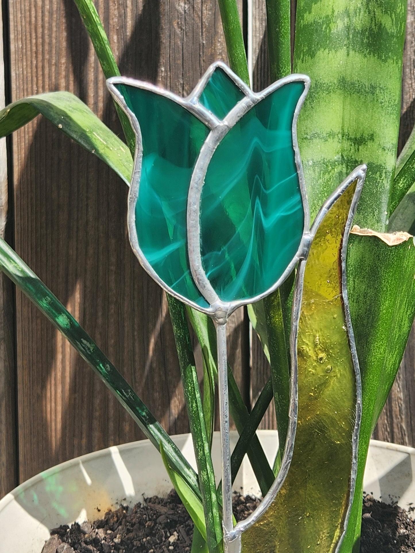 Aqua Streaky Tulip with Amber-Green Leaf Stained Glass Plant Stake