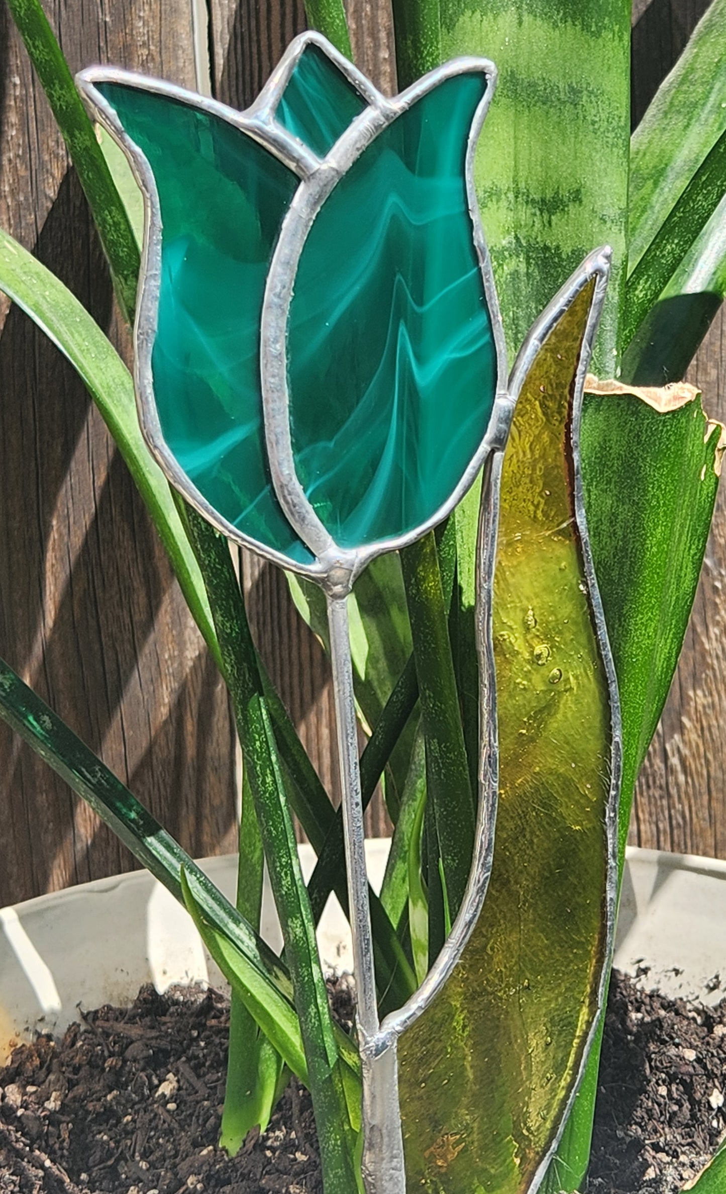 Aqua Streaky Tulip with Amber-Green Leaf Stained Glass Plant Stake
