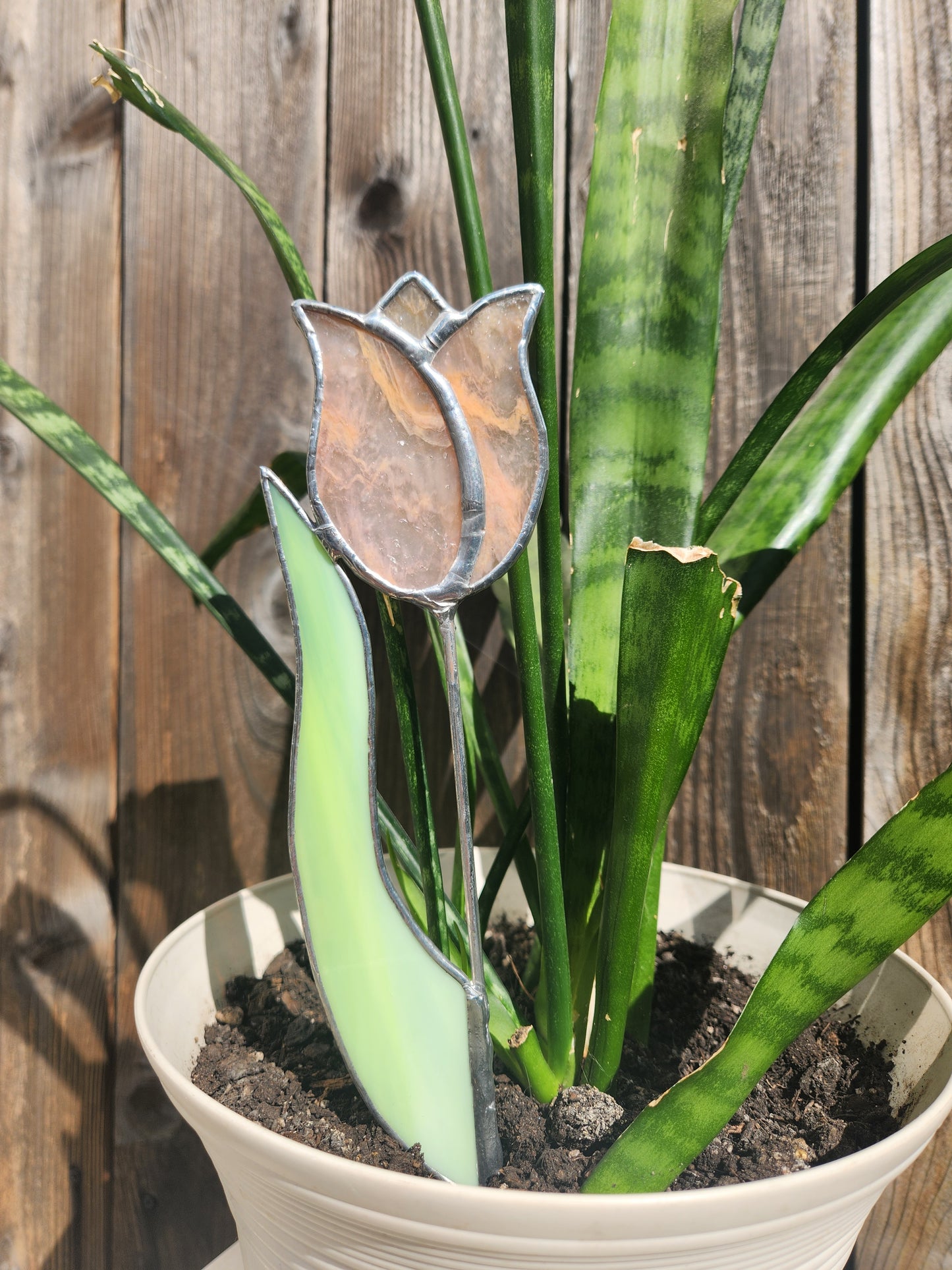 Peach-White Streaky Tulip with Green Streaky Leaf Stained Glass Plant Stake